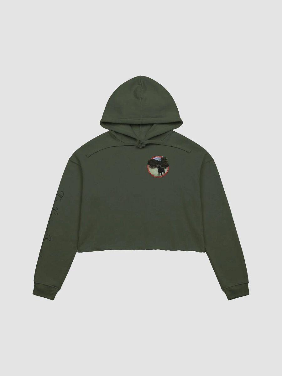 Kirby Club Crop Hoodie product image (1)