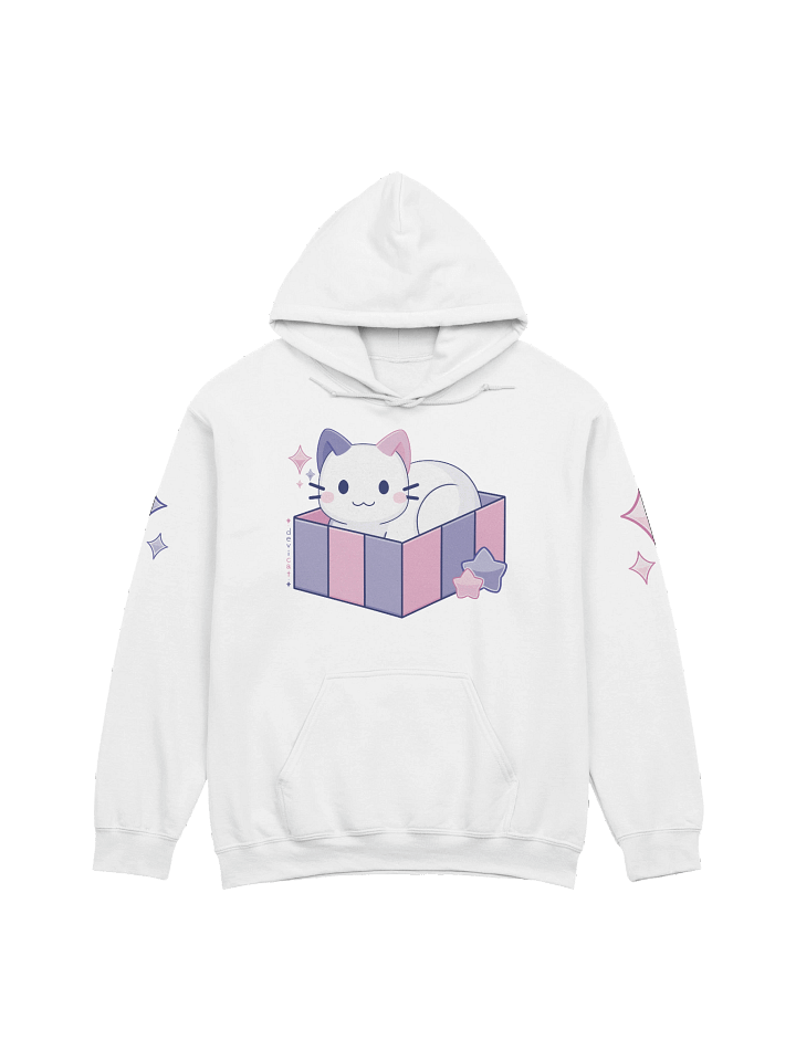 CandiCat Cat In A Box 2023 Hoodie product image (1)