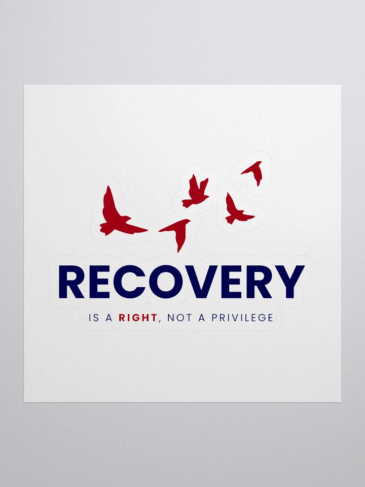 Recovery is a Right, Not a Privilege product image (1)