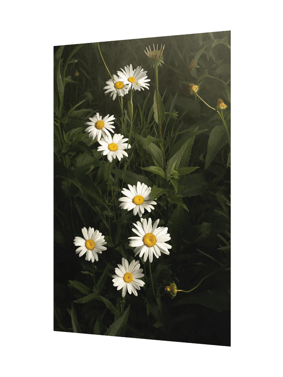 Cascading White Daisies product image (3)