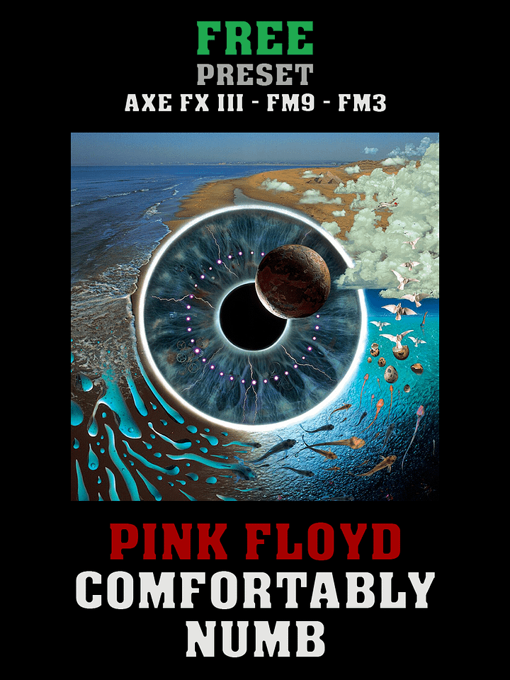 Pink Floyd - Comfortably Numb (PULSE) AxeFXIII/FM9/FM3 Preset product image (1)
