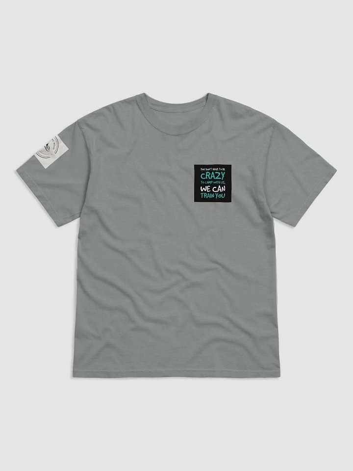 T-Shirt (Gray) Crazy to camp with us product image (1)
