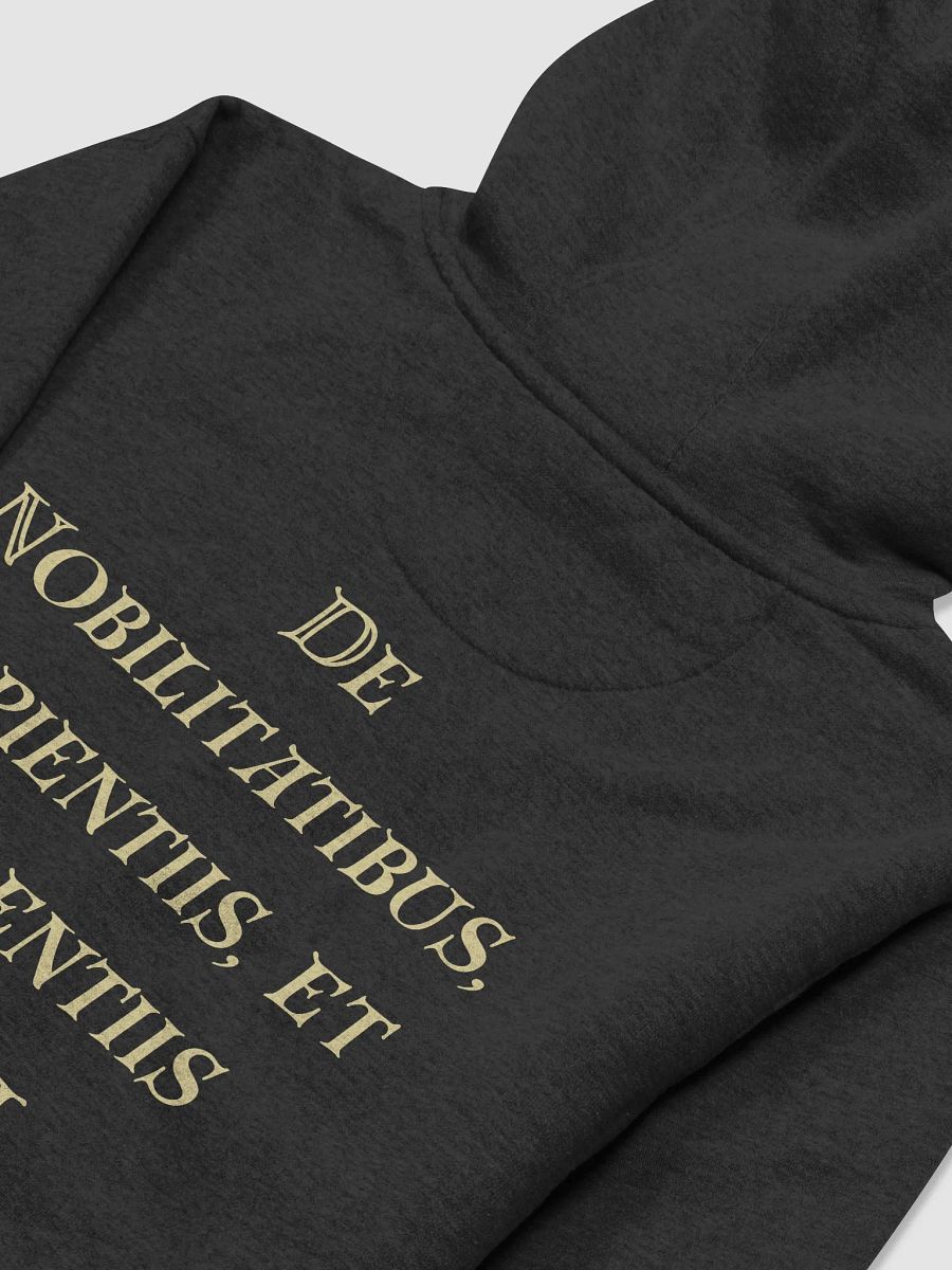 Echoes of Marginalia Hoodie Dark product image (8)