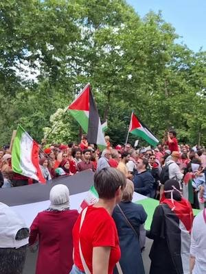 TIJD OM IRAN OOK MEE IN DE SPOTLIGHT TE ZETTEN 🇵🇸🇮🇷 #palestine #iran #CapCut #protest #brussels 