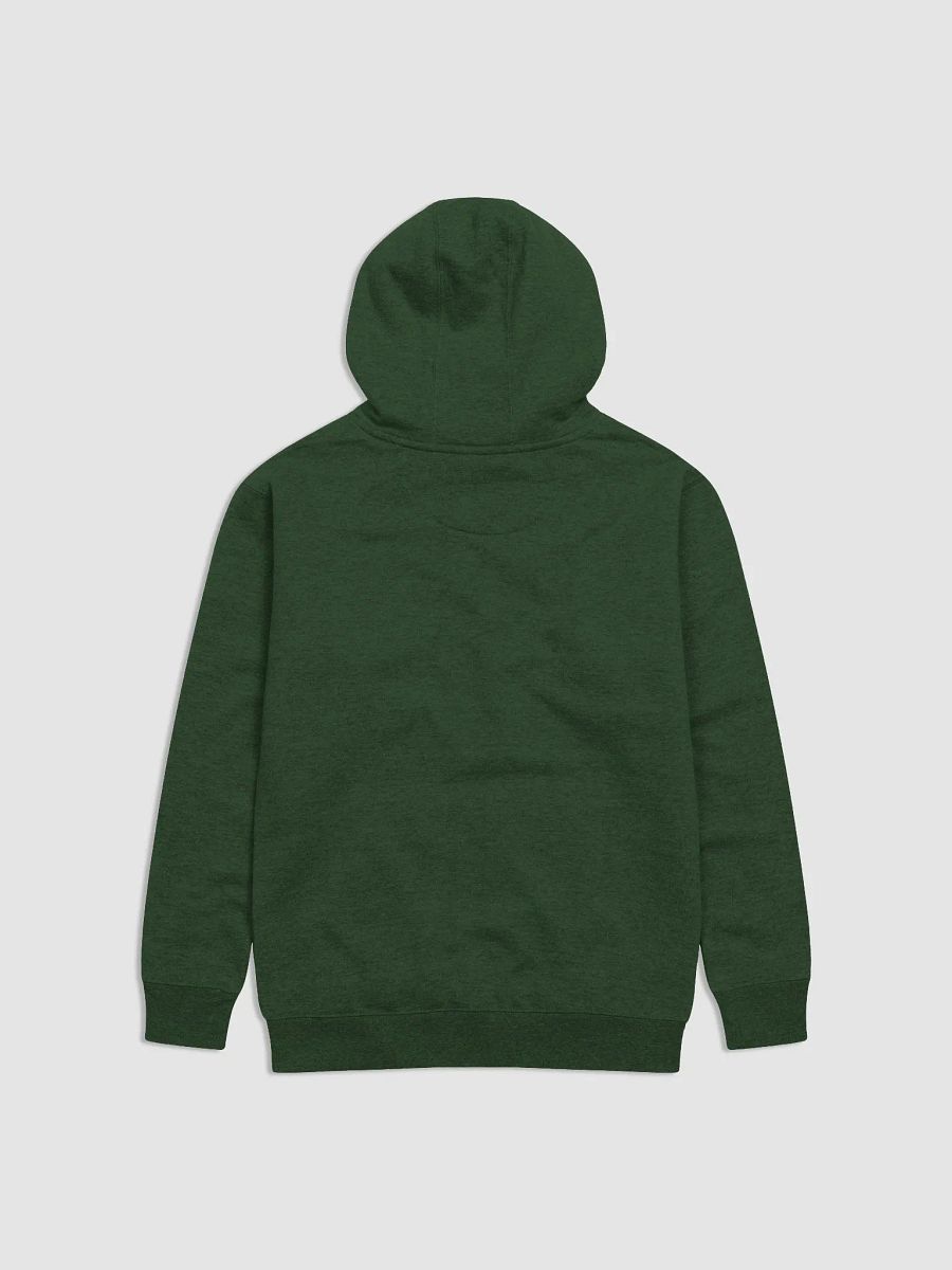 Got Gwent? Hoodie product image (3)