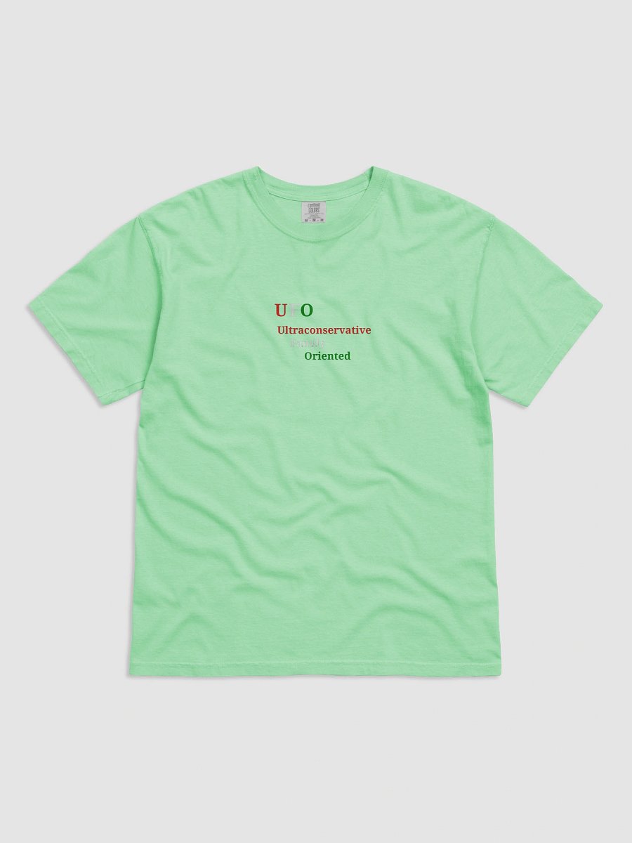 UFO Ultraconservative Family Oriented Tee product image (1)