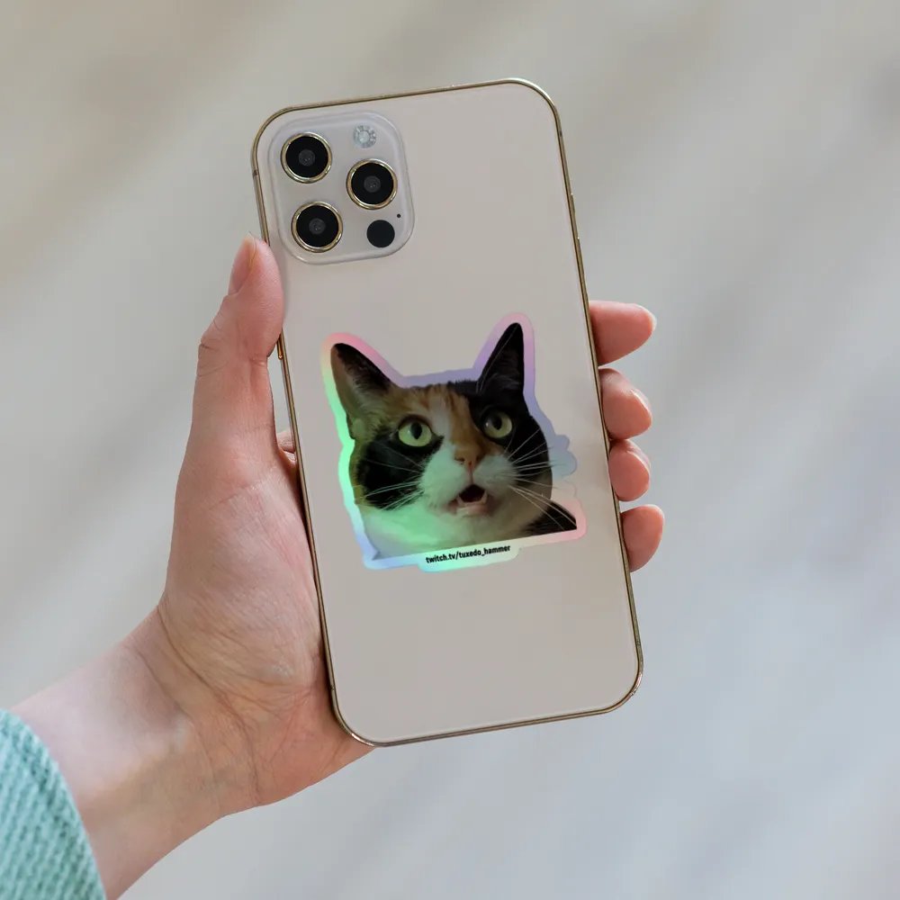 Rogue Holographic Sticker Set product image (8)