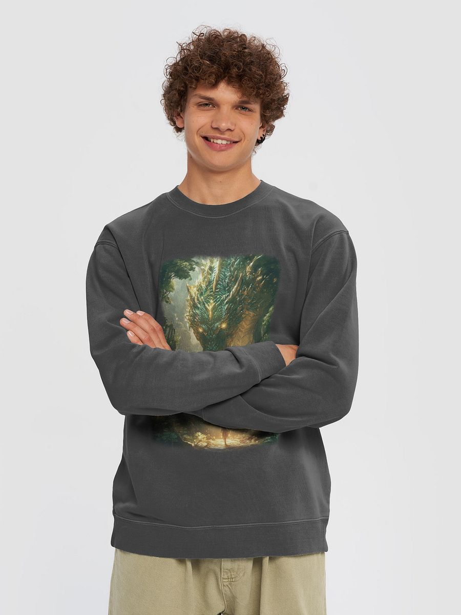 Mystical Dragon Encounter Sweatshirt product image (4)