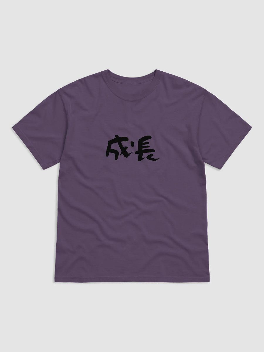 "Seichou" (成長) Japanese Kanji T-Shirt – Words to Wear Collection product image (4)