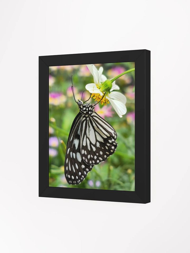 Tropical Paper Kite Butterfly Framed Matte Poster #2 product image (1)