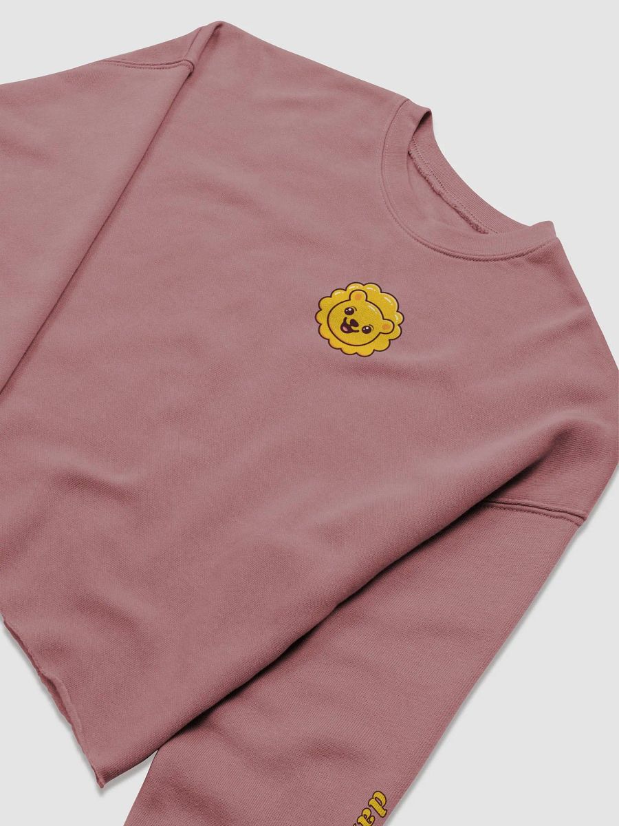 dandielyon cropped sweatshirt product image (13)