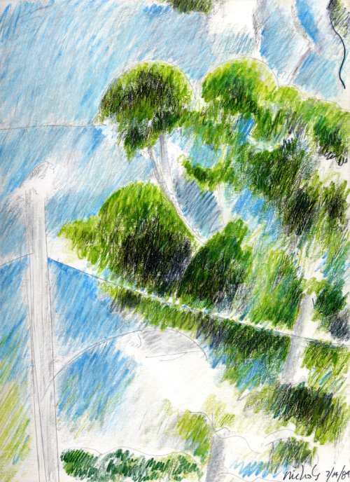 Eucalyptus 07.14.84 print product image (1)