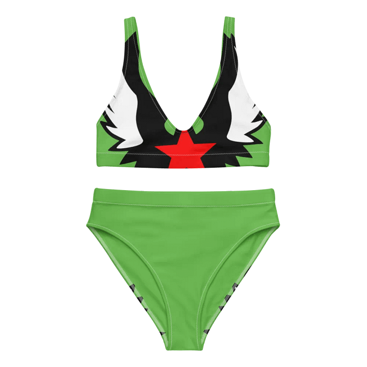 Symmetrical Star Wings High-Waisted Bikini product image (1)