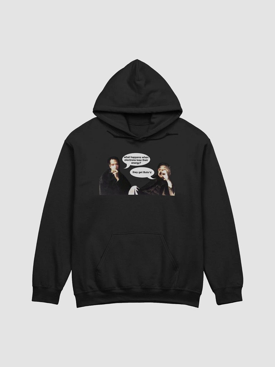 Bohr + Einstein Hoodie product image (1)