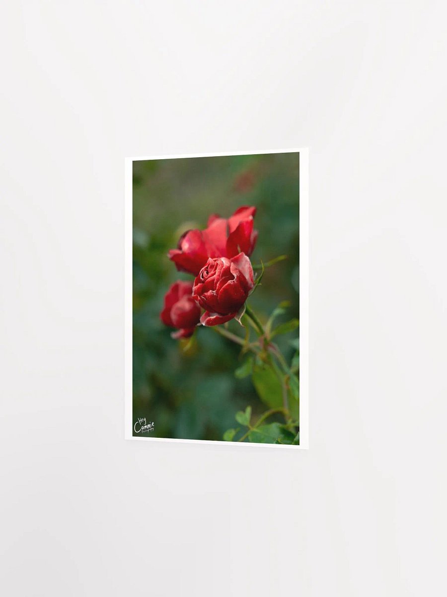Red Like Roses - Print product image (2)