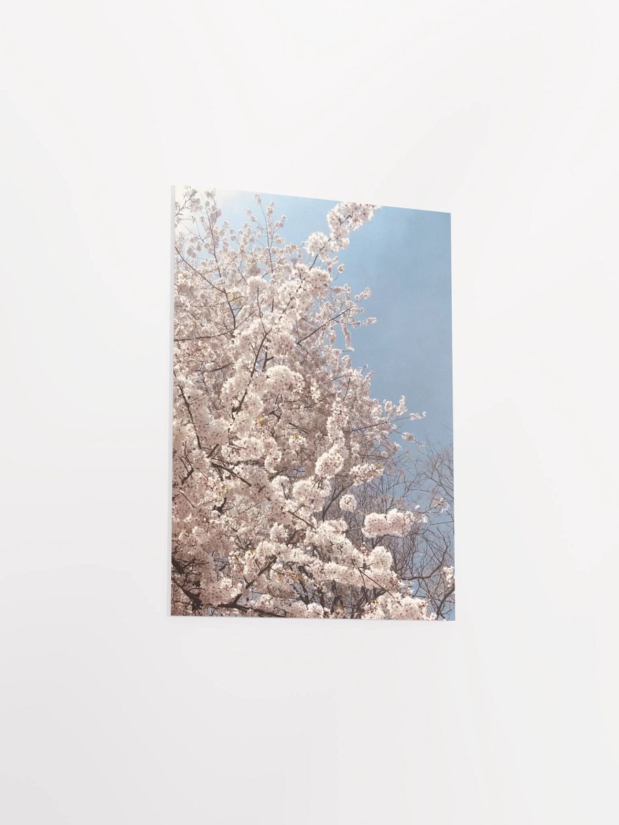 Primavera - Enhanced Matte Paper Poster product image (3)