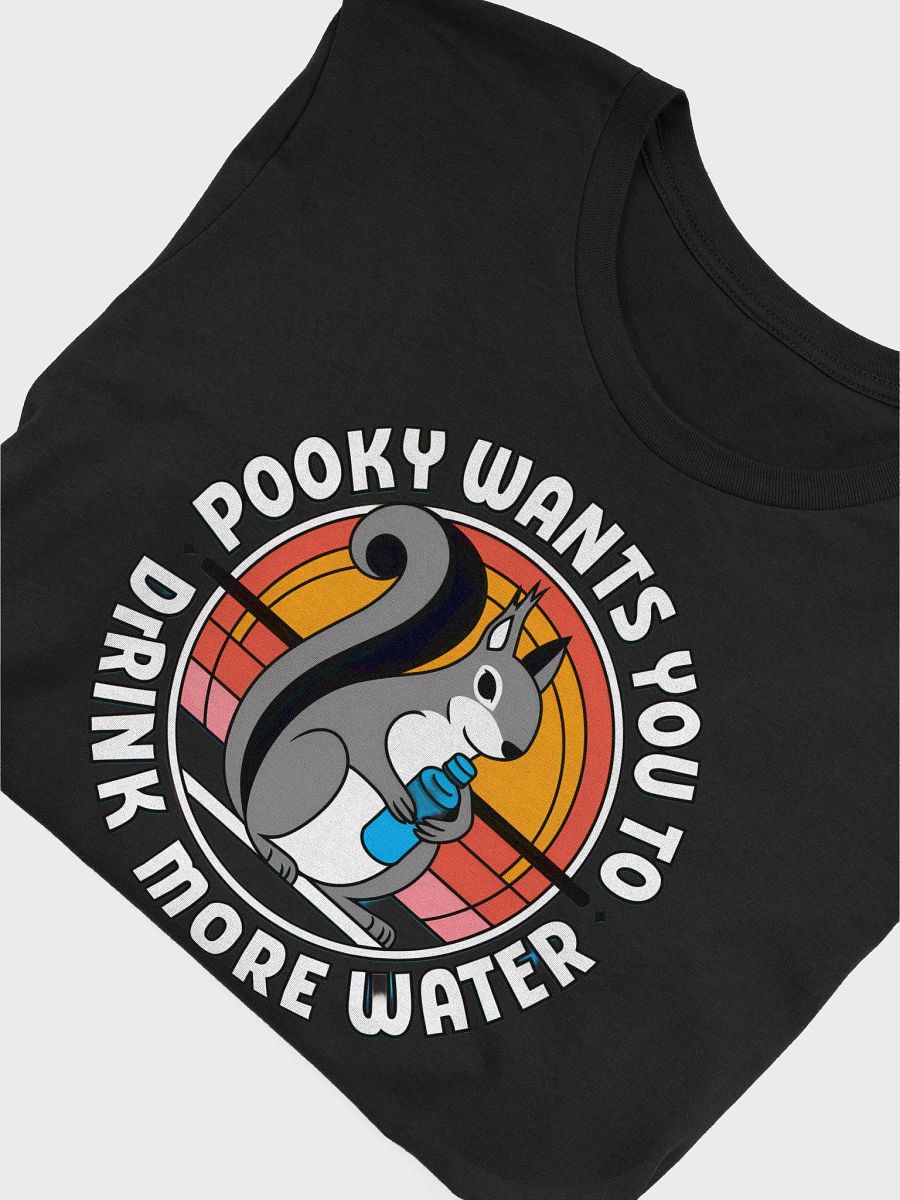 Super Soft and Flattering Tee: Pooky Wants you to drink more water. circular 70s font, pooky with a waterbottle product image (5)