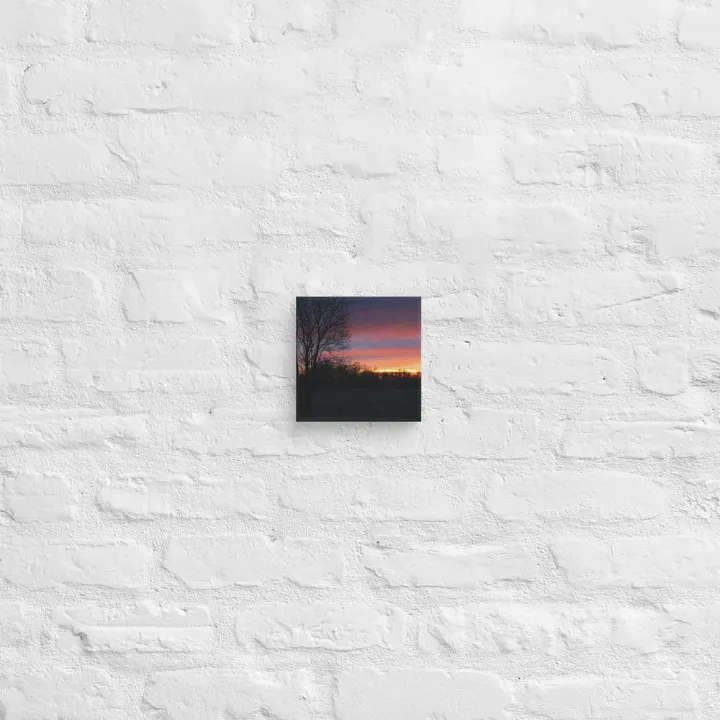 Beauty in the Dusk Canvas product image (2)