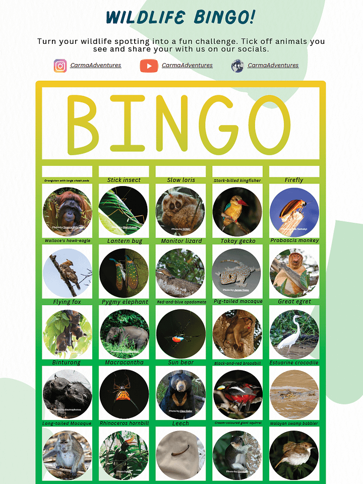 Free Fun Wildlife Bingo for Your Trip to Sabah in Borneo product image (1)