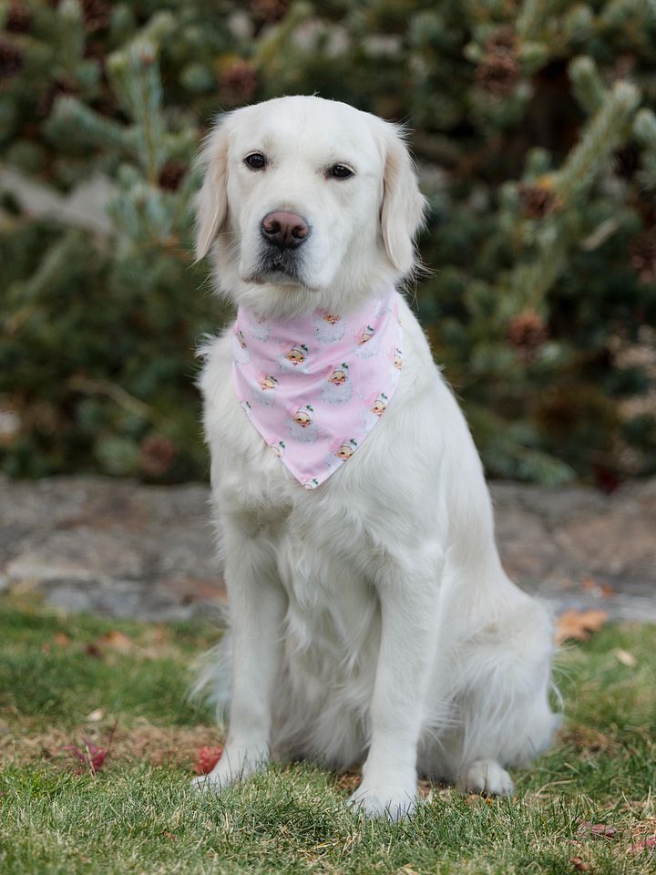 Pink Santas Bandana product image (1)