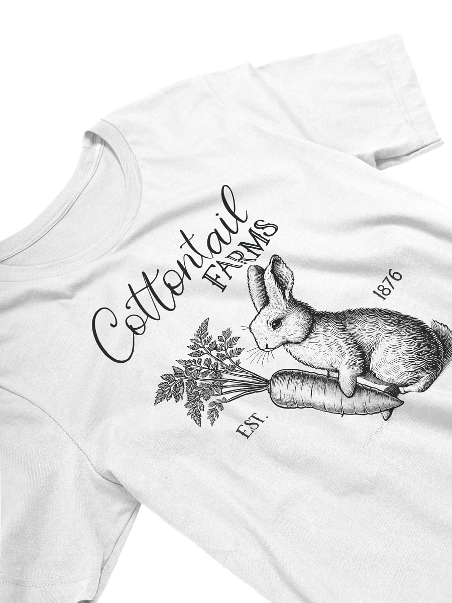 Cottontail Farms Vintage Ladies Tee product image (4)