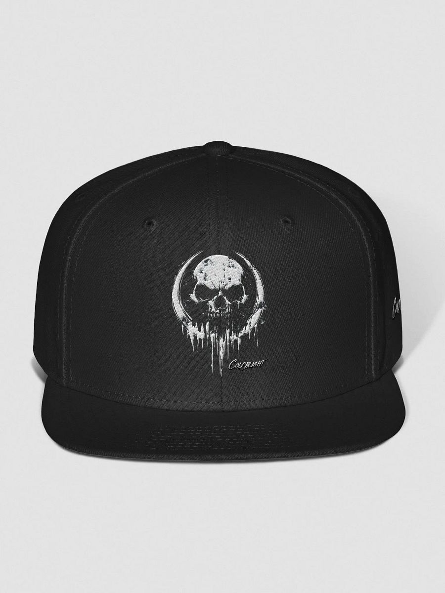 Frostbite Skull Wool Snapback product image (1)