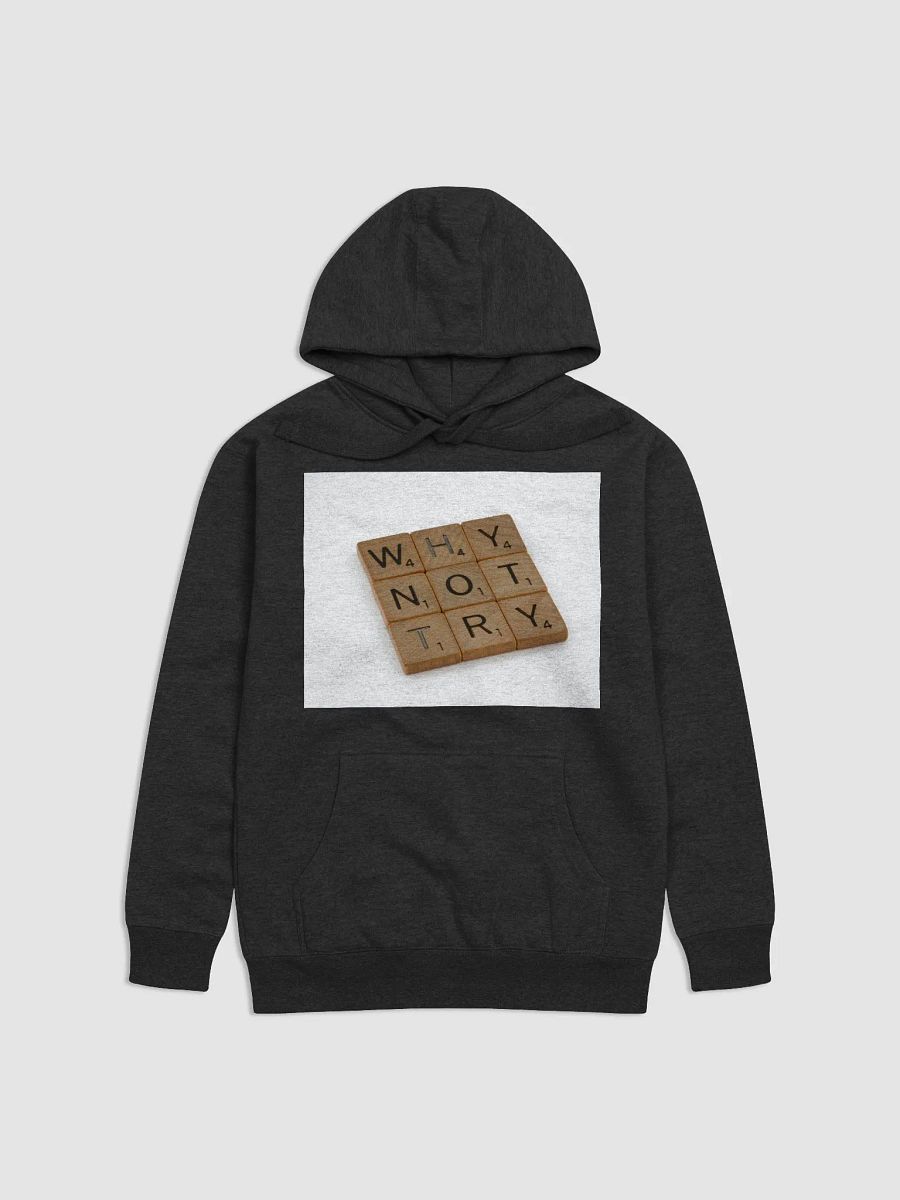 Why Not Try Sweatshirt product image (6)