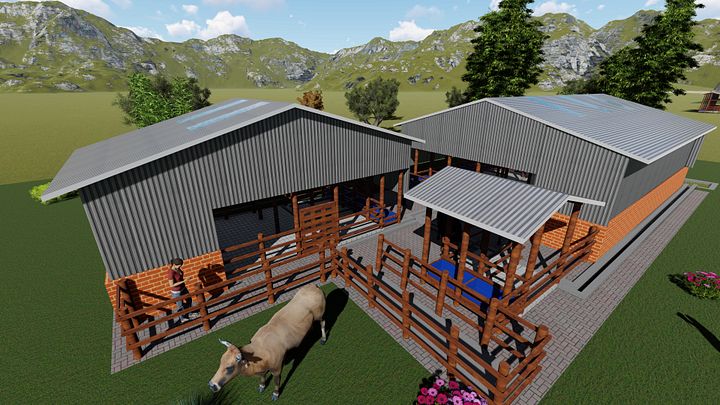 10 Dairy Cows Design Plan product image (2)