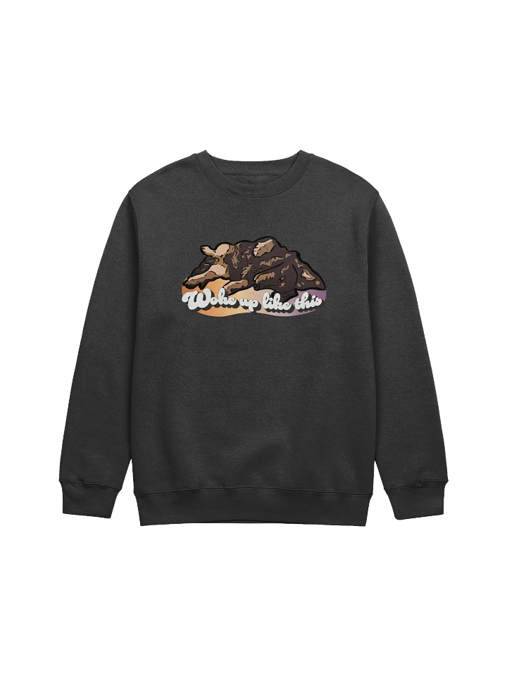 Woke Up Like Longboy - Sweatshirt product image (1)