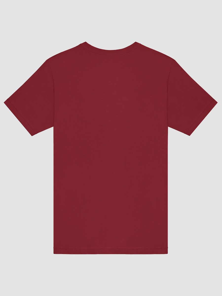 Warrior of Words T-Shirt product image (6)