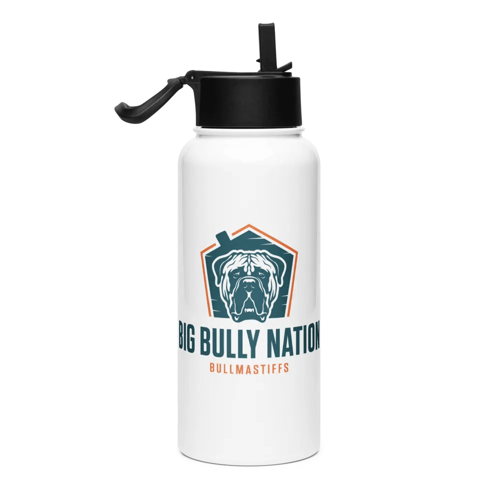 BBN Stainless Steel Water Bottle product image (4)