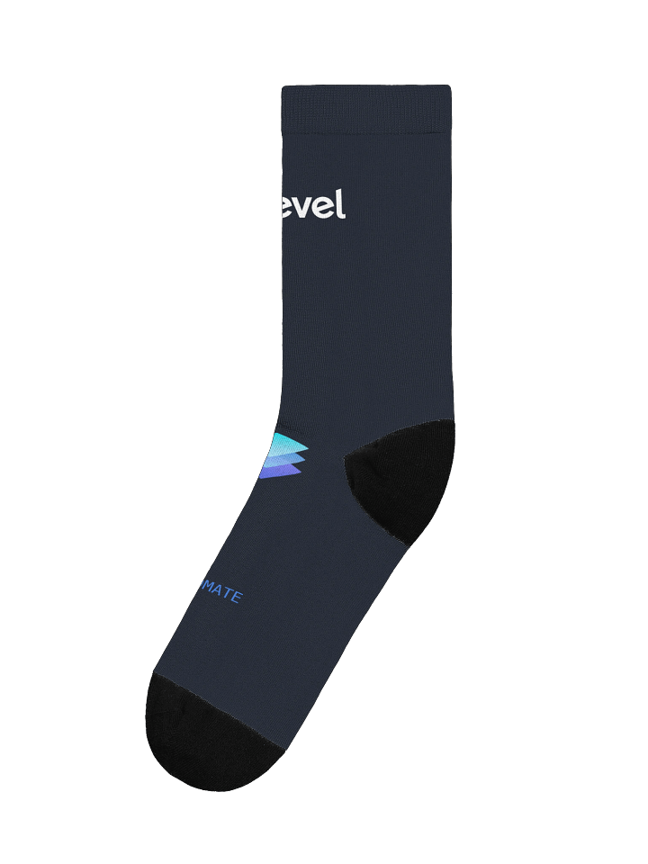 Level Socks product image (1)