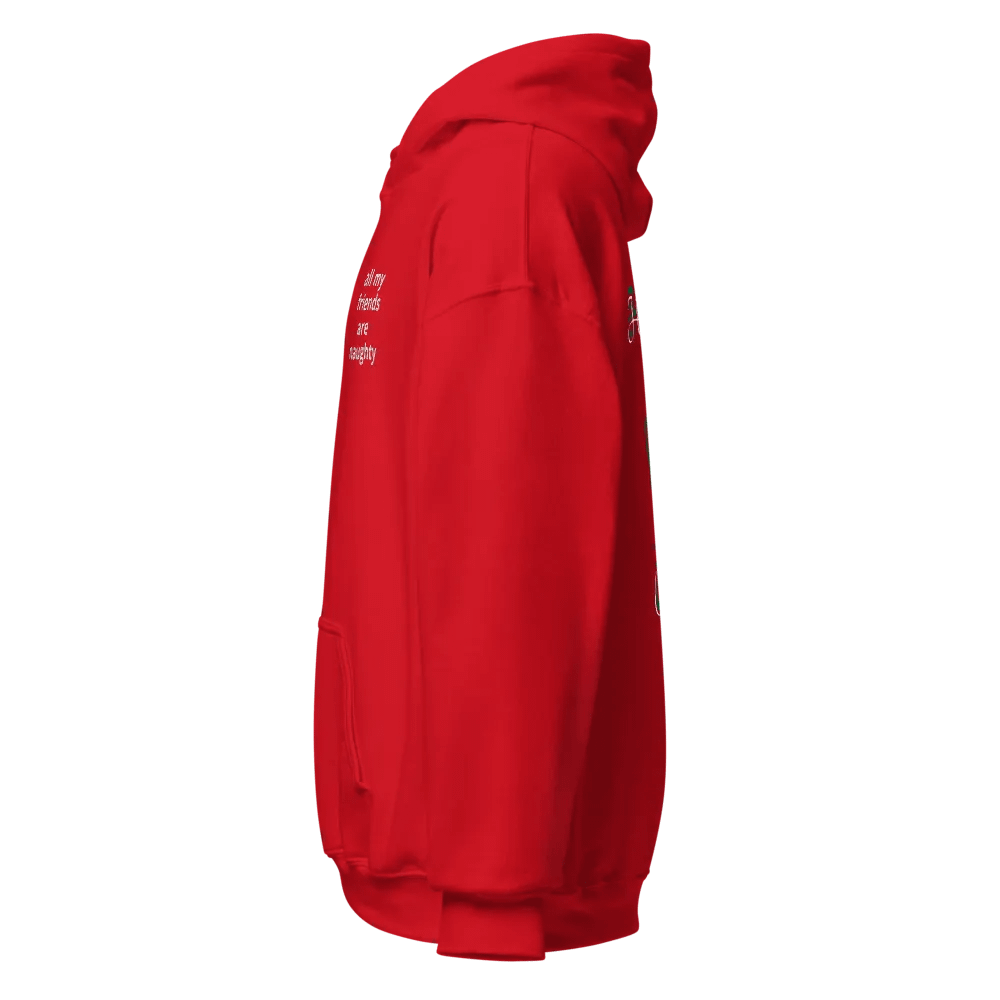 Holiday Hoodie - Naughty product image (4)