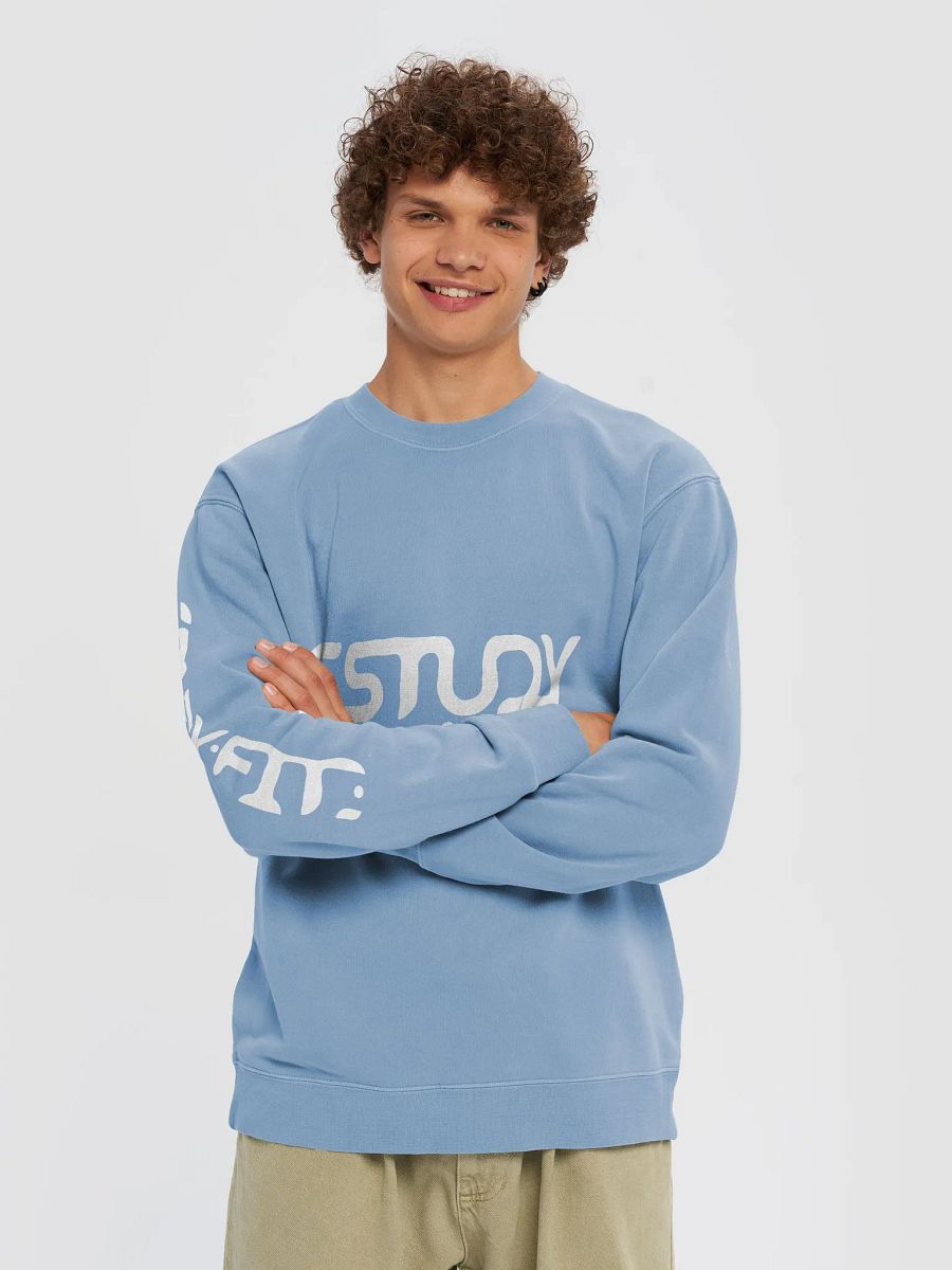The Study Fit Pigment Dyed Sweatshirt product image (19)