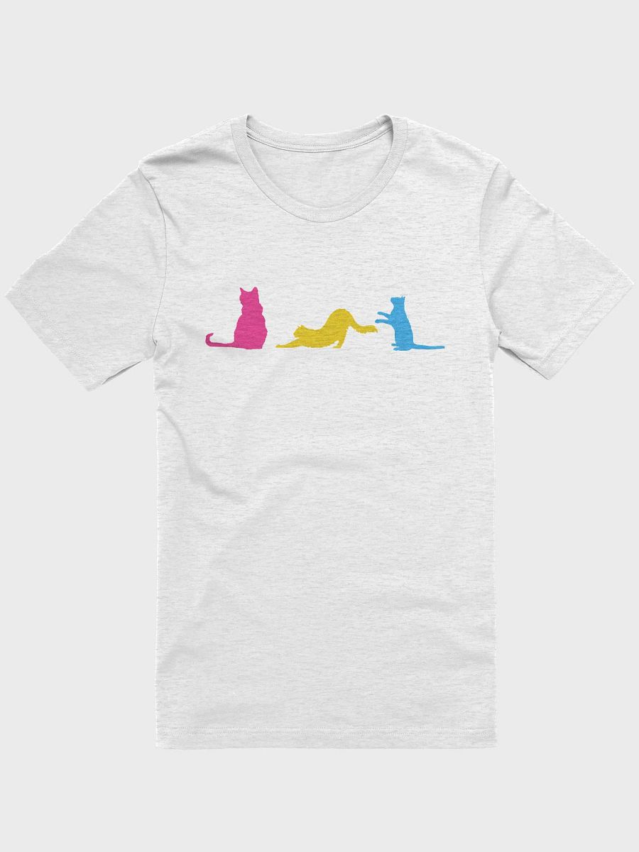 Pansexual Pride Cats Women's Shirt product image (4)