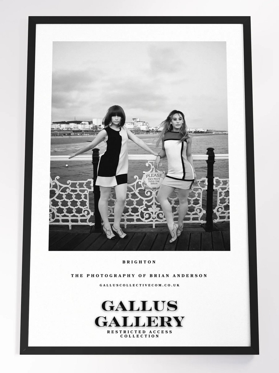 The Gallus Gallery - Brighton Don't Feed The Birds product image (1)