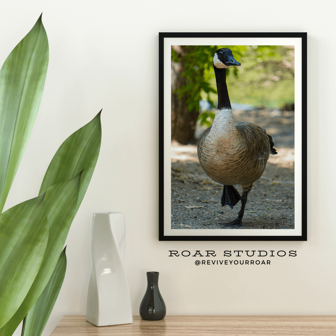 Gordon the Goose product image (1)