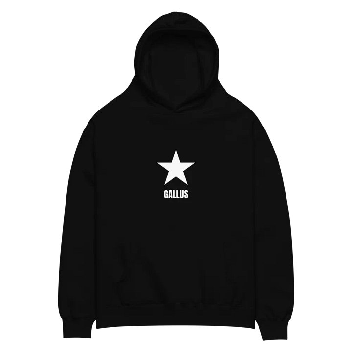 Gallus Hoodies product image (2)