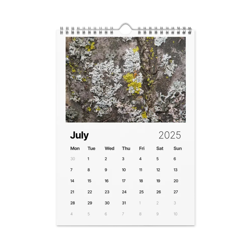 Likin' Lichen 2025 Wall Calendar product image (8)