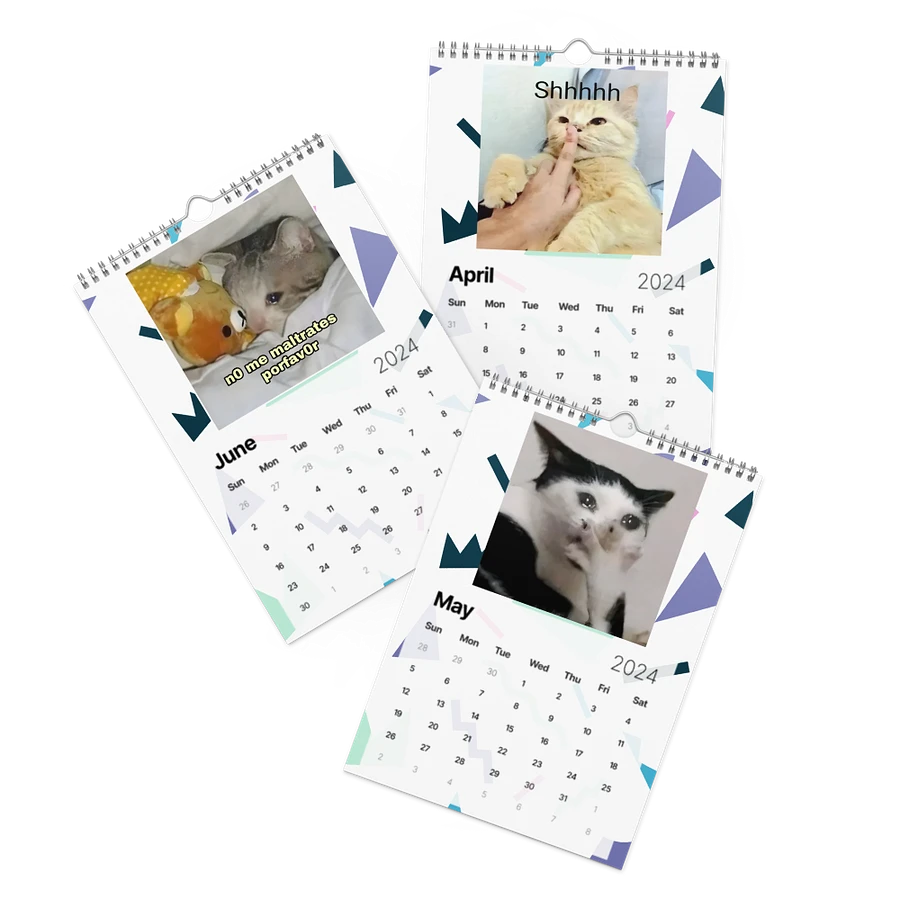 Wall Calendar (2024): Meme Cats product image (3)