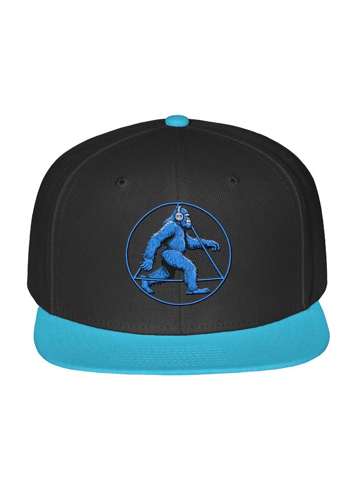 MrSquatch's Mysterious Life Snapback Hat product image (1)