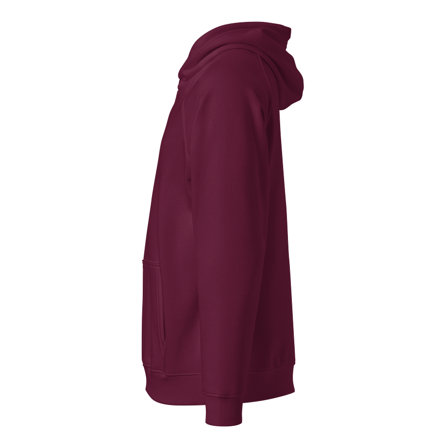 Bonsai Tree Eco Raglan Hoodie product image (2)