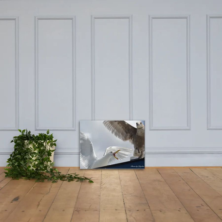 Seagull's Fighting product image (4)