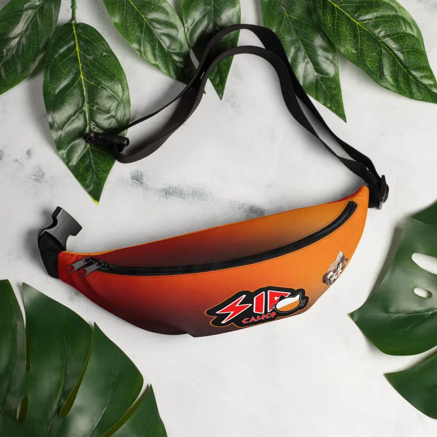 fanny pack product image (12)