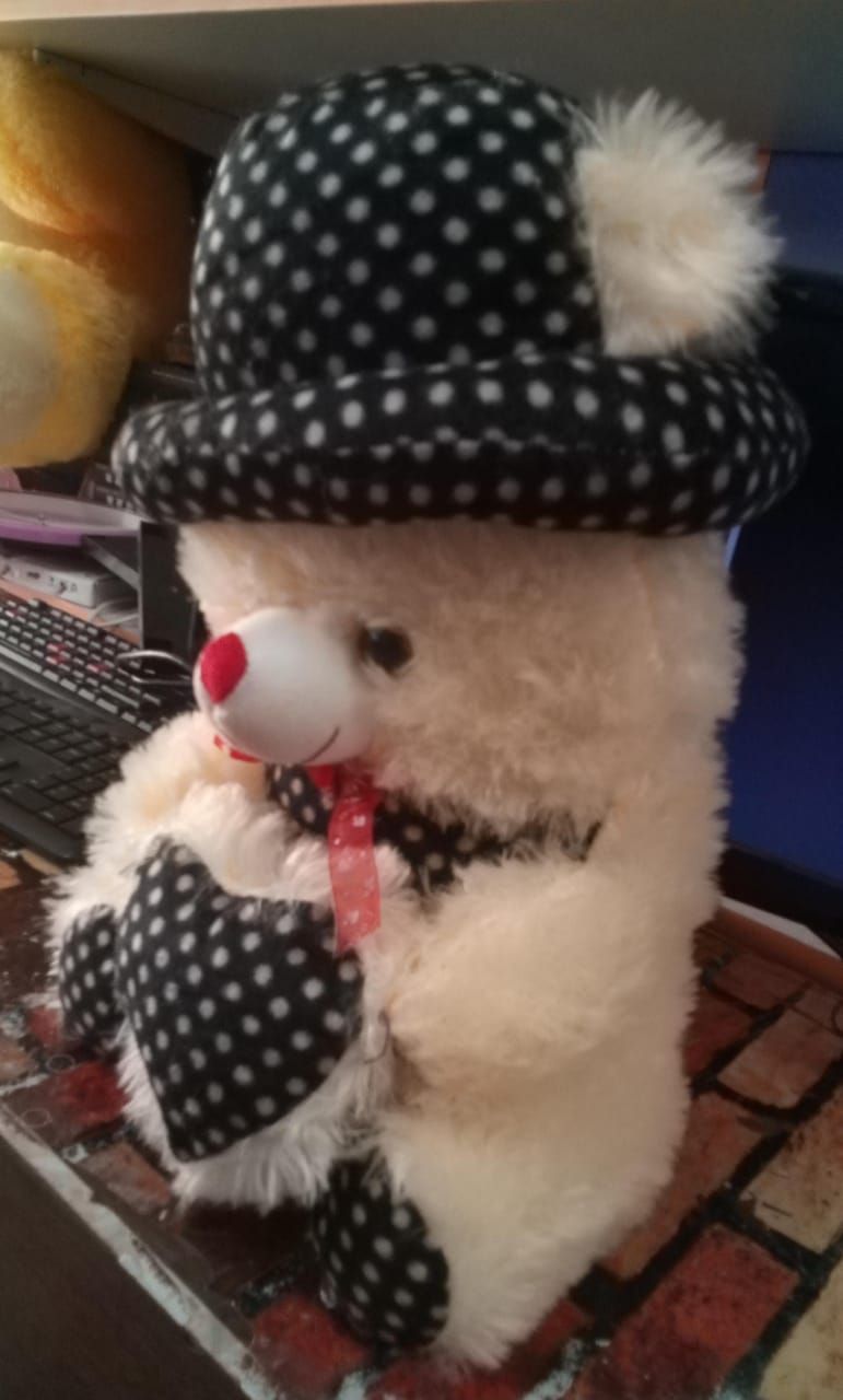 TEDDY BEAR product image (3)
