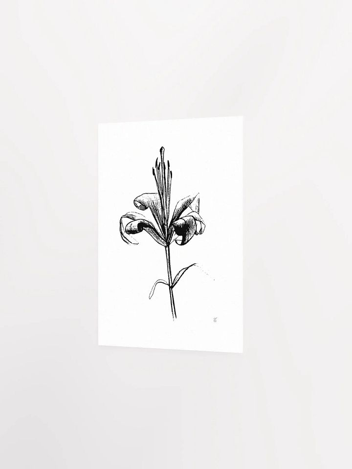Lily Elegance Poster - Fine Flower Light product image (2)