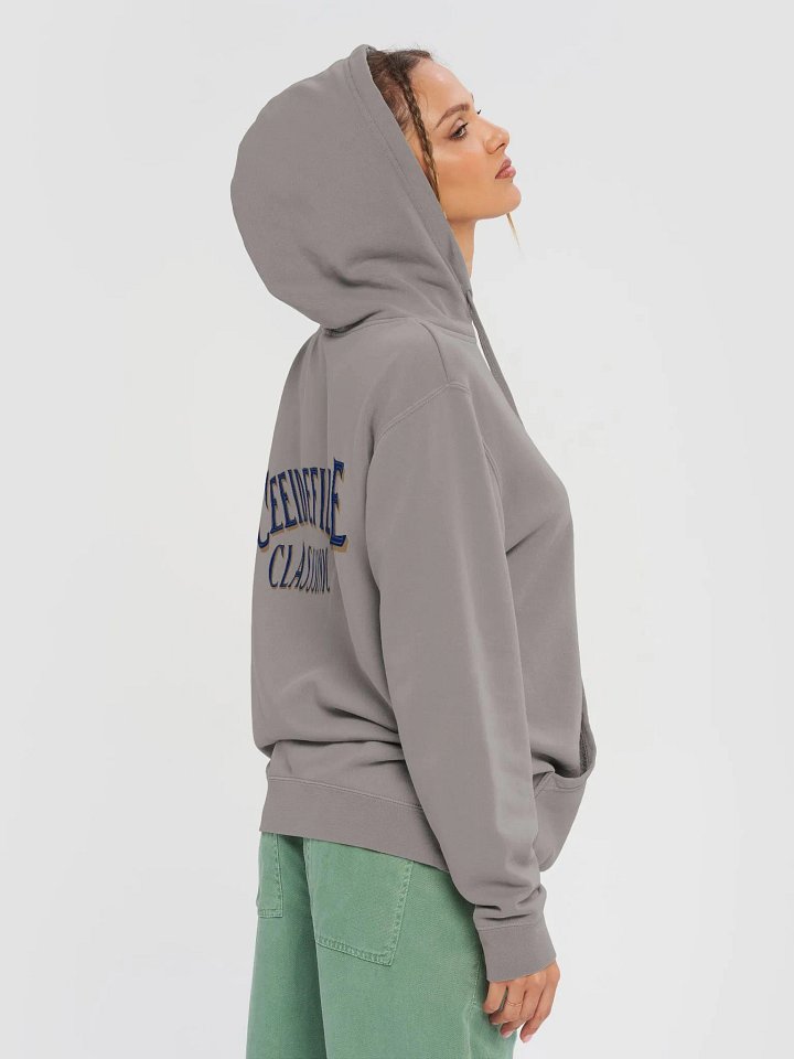 Golden Classics Embossed Hoodie product image (19)