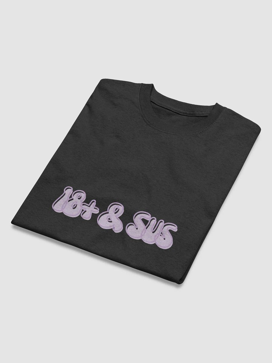 18+ & Sus Shirt product image (18)