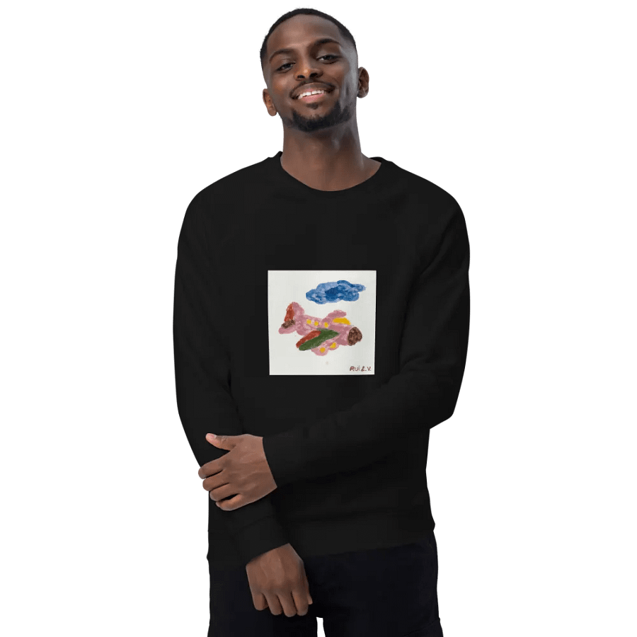 Kid Airplane (SOL'S Unisex Organic Raglan Sweatshirt) product image (5)