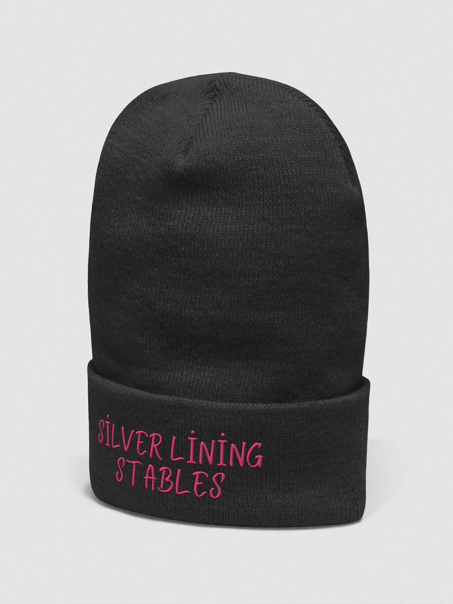 Silver Lining Beanie product image (2)